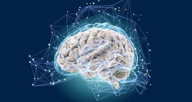 Kebiasaan Sehari-hari yang Membantu Otak Tetap Kuat